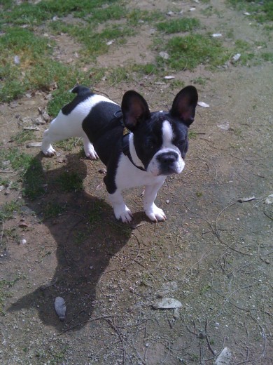 mi gorditaa en el campo corriendo0!!